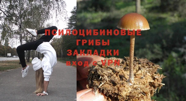 стаф Абдулино