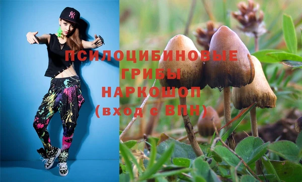 стаф Абдулино