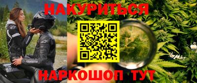 эйфоретик Гай