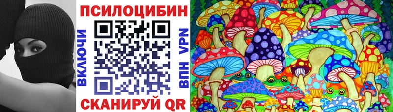 закладка Новоуральск mega онион Галлюциногенные грибы Psilocybine cubensis