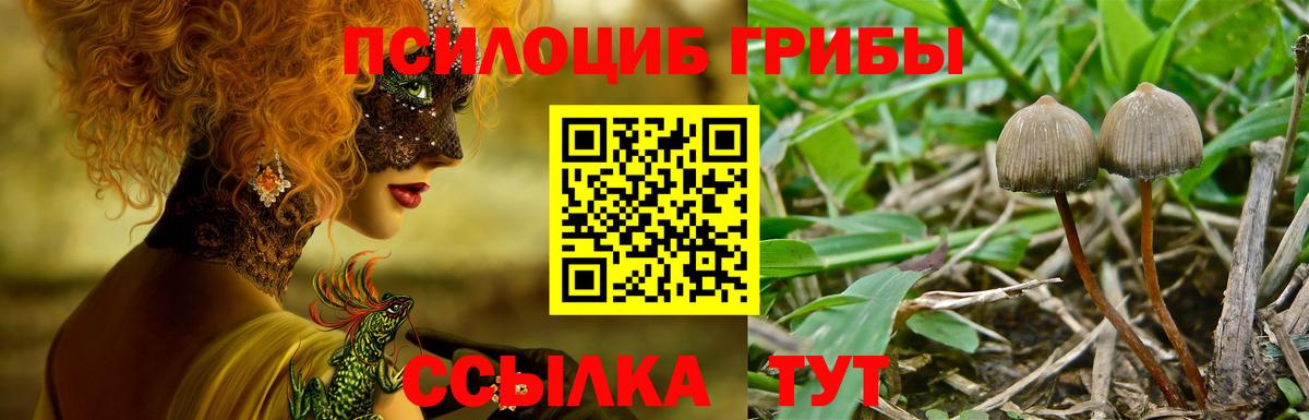 Новоуральск  Псилоцибиновые грибы GOLDEN TEACHER  Псилоцибиновые грибы Psilocybine cubensis  Вход с VPN 